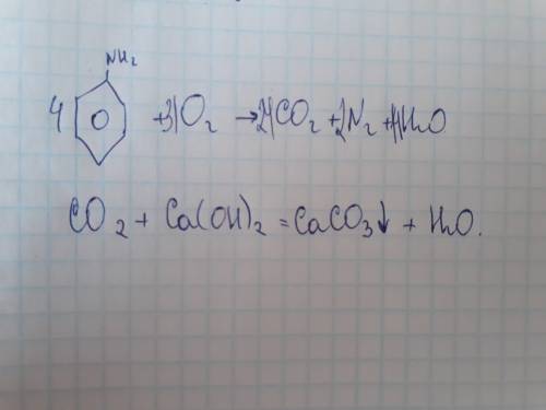 Углекислый газ полученный при сжигании анилина массой 18.6 г пропустили через известковую воду реакц