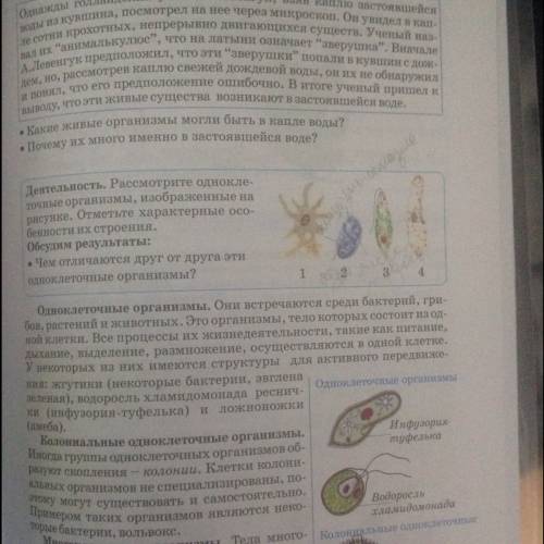 Доказательство эволюции животного мира. 2. одноклеточные животные. их строение и роль.в природе