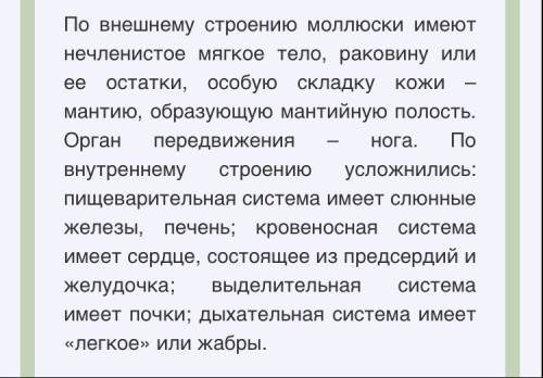 Чем строение моллюсков отличаетс от строени кольчатых червнй?