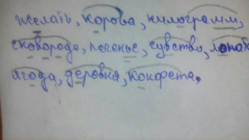 Желать,корова,килограмм,сковорода,печенье,чувство,лопата,ягода,деревня,конфета. нужно отмечать орфог