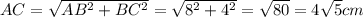 AC= \sqrt{ AB^{2}+BC^{2} } = \sqrt{ 8^{2}+4^{2} }= \sqrt{80}=4 \sqrt{5} cm