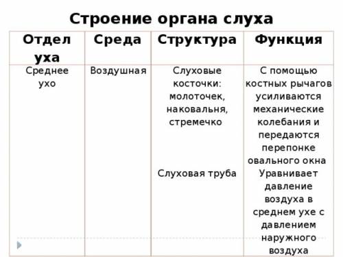 Составить таблицу.1 столбик-отделы уха. 2 столбик-среда. 3- строение и функции.