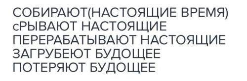 Спиши обозначь время глаголы. чайный лист собирают с весны до поздней осени. скрывают только готовые