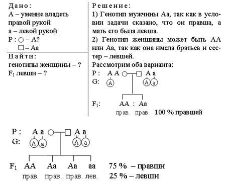 1: у человека умения владеть преимущественно правой рукой доминантный признак, левой рецессивный. му