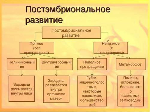 Что такое прямое и непрямое постэмбриональное развитие? примеры