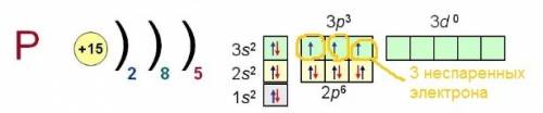 Число неспаренных электронов во внешнем слое атома , ядро которого содержит 15 протонов, равно: 1)7