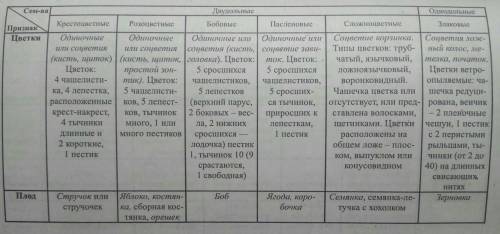 Описать каждое семейство (крестоцветные, розоцветные,паслёновые, бобовые и сложноцветные) в тетради