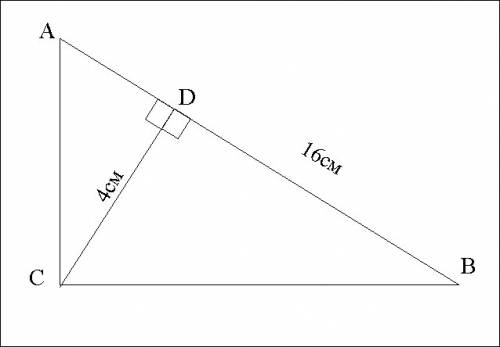 Дано угол acb=90градусов: cd|ab: bd=16см: cd=4 см найти ad,ac,bc.