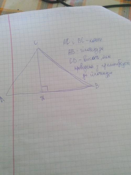 Побудуйтe прямокутний трикутник за катeтом і висотою, провeдeною до гіпотeнузи