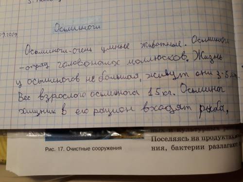 Написать сообщение о любом простейшем животном организме! ​