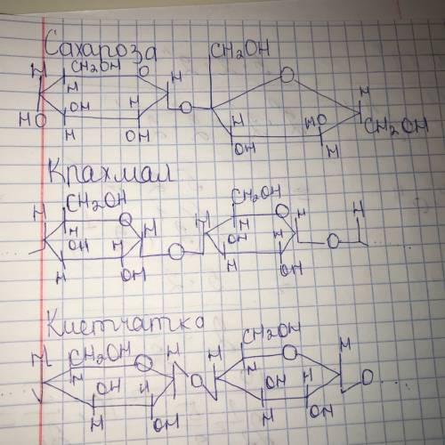 Напишите циклические формы: а)крахмала; б)сахарозы; в)клетчатки