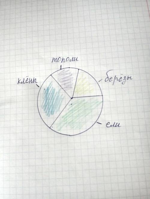 Вроще росли деревья: клёны, березы , ели и тополи. берёз было 20% , тополей 15%, елей 35%, а на оста