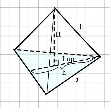 1) висота правильної трикутної піраміди дорівнює 8 см а сторона основи 6 см. знайти довжину бічного
