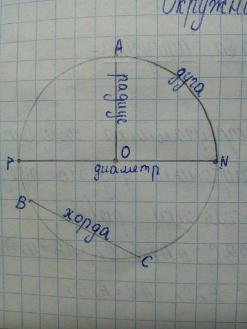 Мне нужны определения: окружность, радиус, хорда, диаметр, дуга. кратко и понятно, а не статью из ви