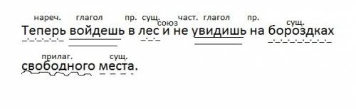 Теперь войдешь в лес и не увидишь на бороздках свободного места. синтаксический разбор, .