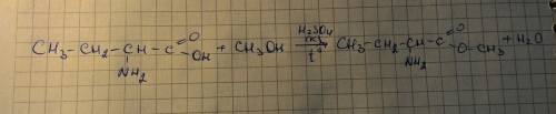 Напишите реакцию между альфа-аминоуксусной кислотой и метанолом.