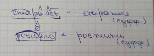 Стараясь, росшего, , разберите по составу и отпределите образования