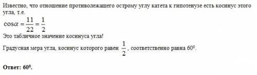 Впрямоугольном треугольнике гипотенуза равна 22 см, а один из катетов-11 см. найдите наименьший из о