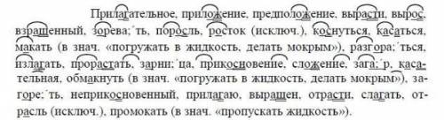 Обозначьте корень, графически объяснить написание чередующийся гласной в корне: прилагательное, прил