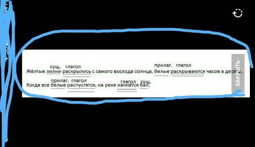 Жёлтые лилии раскрылись с самого восхода солнца, белые раскрываются часов в десять. когда все белые