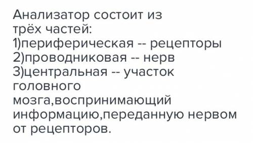 Какие отделы входят в состав любого анализатора?