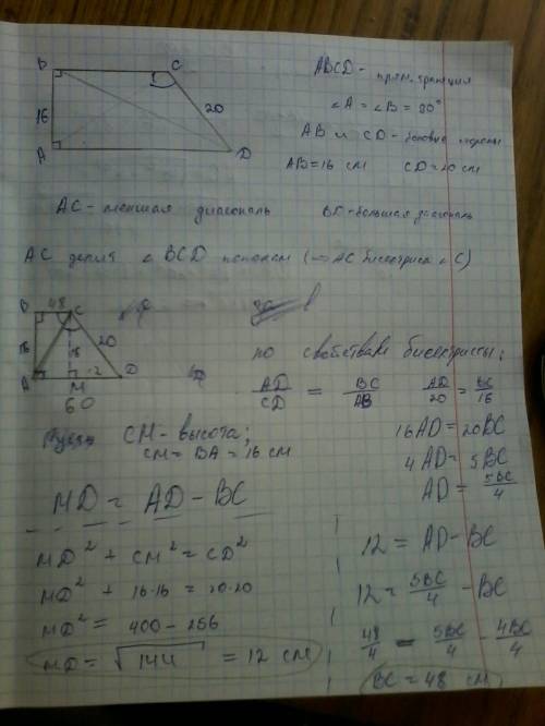 Трапеция abcd - прямоугольная.боковые стороны 16 и 20 см, меньшая диагональ делит тупой угол пополам