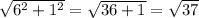 \sqrt{ 6^{2} + 1^{2} } = \sqrt{36+1} = \sqrt{37}