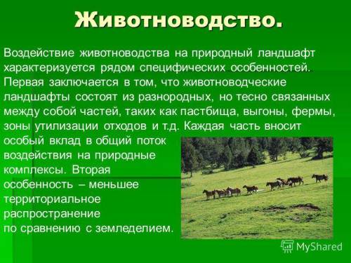 1. андроновской культура, особенность? 2. что вы знаете о природном скотоводстве? 3. поход а. македо