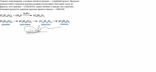 Компонентами теста являются вода и мука, в состав которой входит крахмал. при быстром нагревании тес