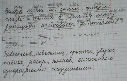 Синтаксический разбор предложения володя почти не дышит, прикрыл глаза и только в щелочку между ресн