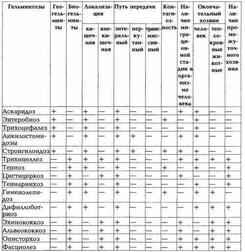 На какие виды подразделяются глисты? характеристика гельминтозов