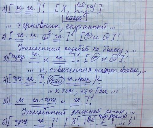 А) расставьте знаки препинания. представьте схему предложений. напрасно в бешенстве порой я рвал отч