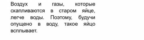 Почему испорченное яйцо всплывает на поверхность ? краткий но разумный ответ!