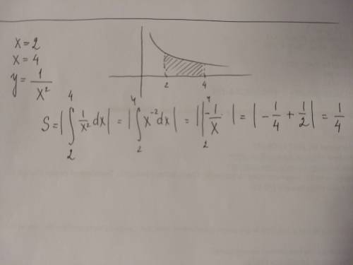 Найти площадь фигуры ограниченной осью абсцисс. прямыми x=2, x=4 и графиком функции y=1/x^2