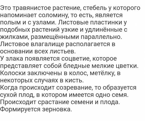 В1. растения семейства злаки можно узнать, по 1)сильно редуцированным цветкам, собранным в соцветие