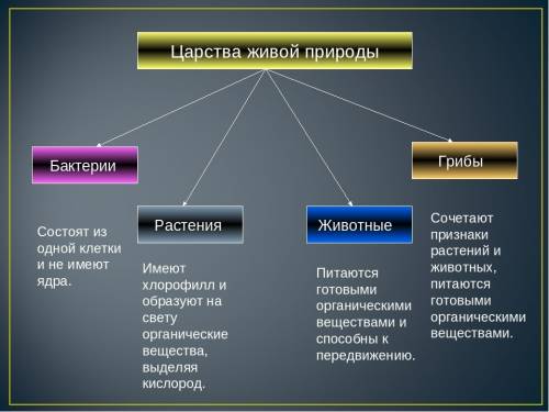 Характеристика царства животные на разных уровнях организации живой природы