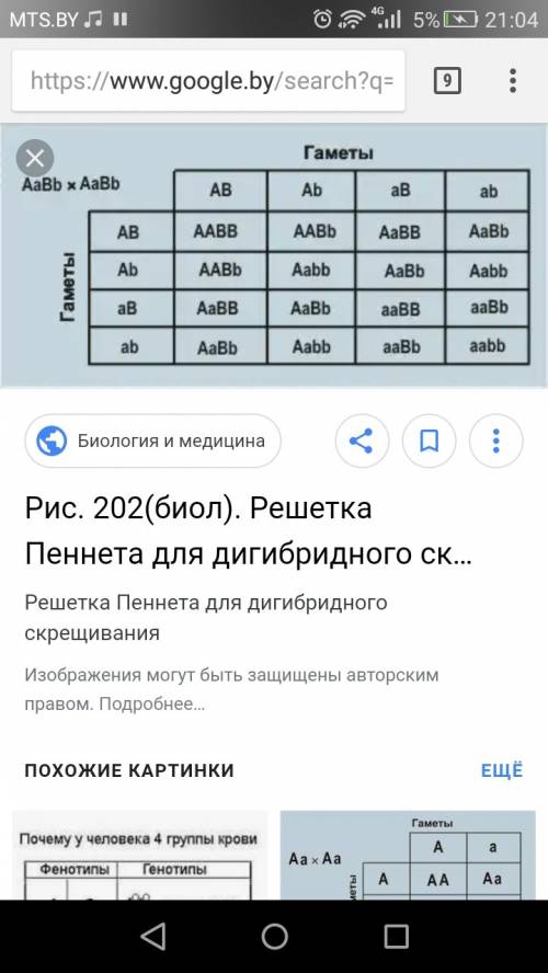 1) каковы генотипы родителей при анализирующем моногибридном скрещивании? 2) определите генотипы пет