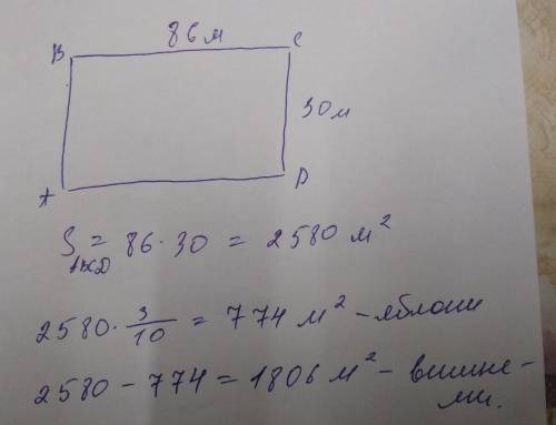 Ак решить сад прямоугольной формы имеет длину 86 м и ширину 30 м. 3/10площади сада засажена яблонями