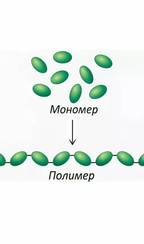 Составьте схему полимеров и мономеров. , 30