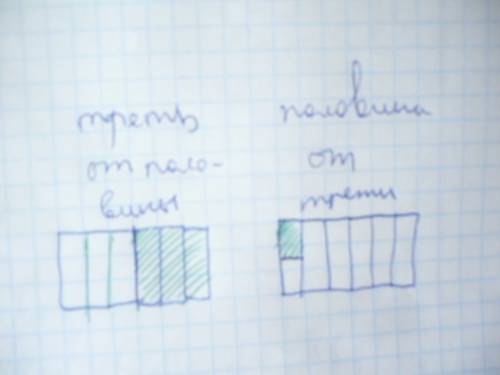 Треть от половины = половине от трети?