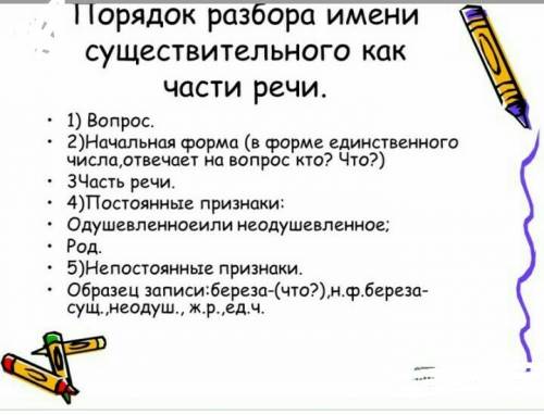 Напишите схему (порядок) морфологического разбора имени существительного.