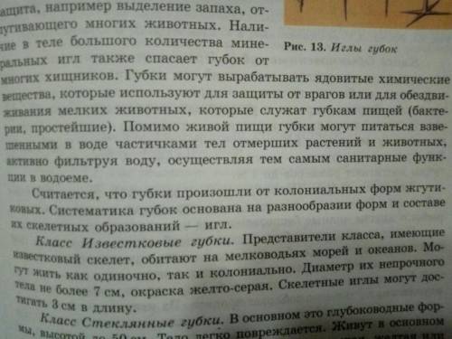 Дайте характеристику образа жизни губок где чем отличаются друг о друга как защищается от врагов