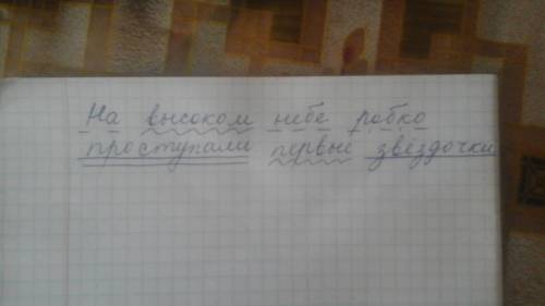 Синтаксический разбор предложения- на высоком небе робко проступали первые звездочки.