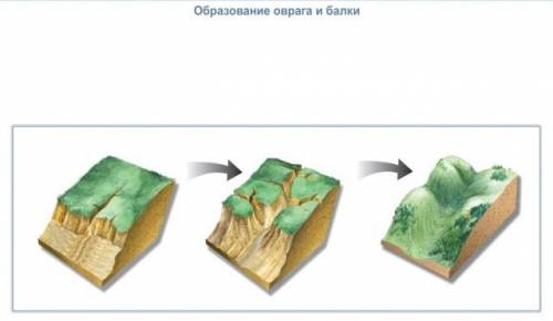 Примеры воздействия внешних сил на территорию. подробно описать