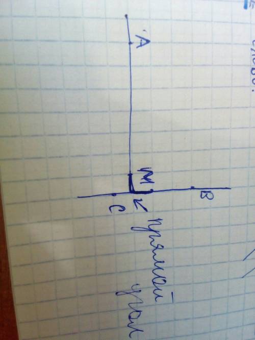 Проведите прямую am.ометьте точку b вне прямой am.проведите через точку b прямую ,которая образует п