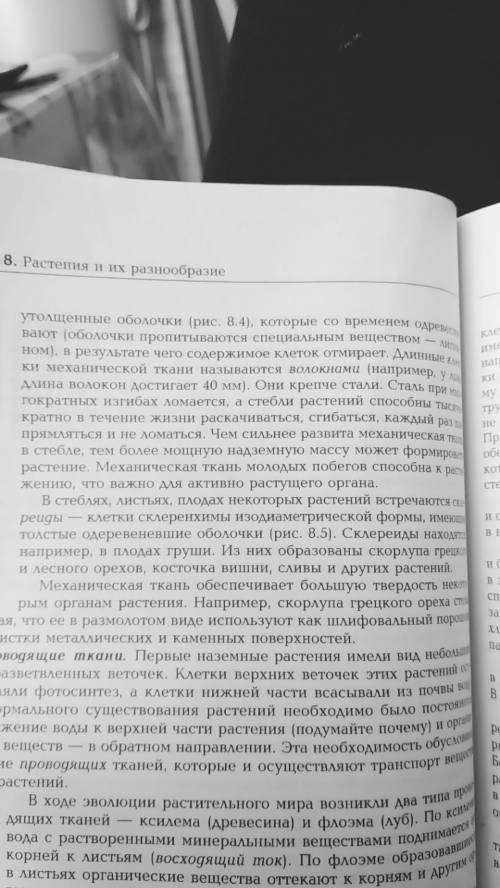 Напишите, какие размеры могут иметь клетки растений. 44 ! и кратко