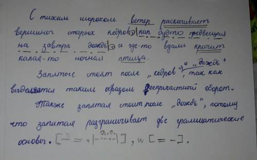 Стихим шорохом ветер раскачивает вершины старых кедров, как будто предвещая на завтра дождь, и где-т