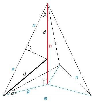 Решить . основание пирамиды - равнобедренный треугольник с углом при вершине α. все боковые рёбра об