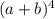 (a + b) {}^{4}