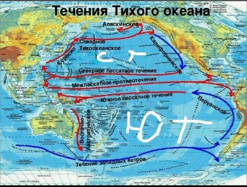 Назовите течения, формирующие круговорот воды в южной части океана